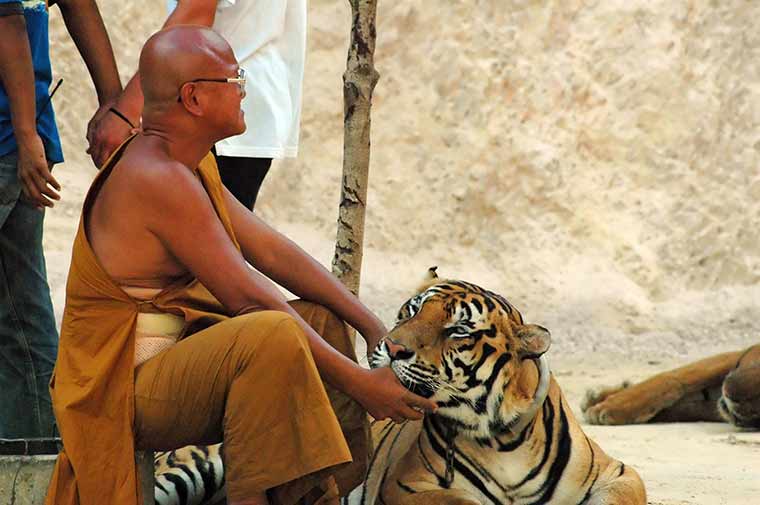 Tiger templet i Kanchanaburi
